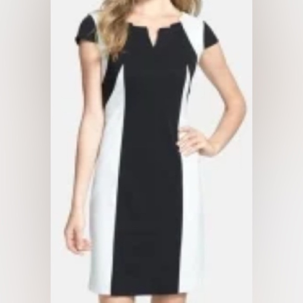 Ellen Tracy Black and White Mini Dress